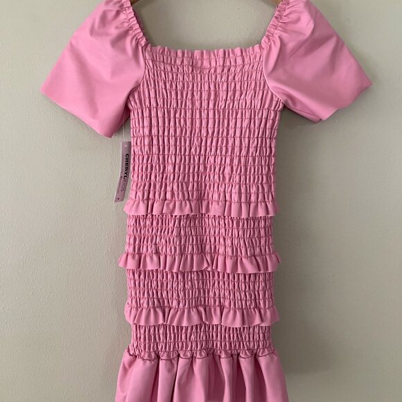 Cheryl Creations Isabella Pink Faux Leather Short Sleeve Dress Size 10 - 12 - Picture 3 of 7